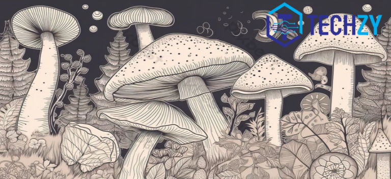 Drawing Mushrooms